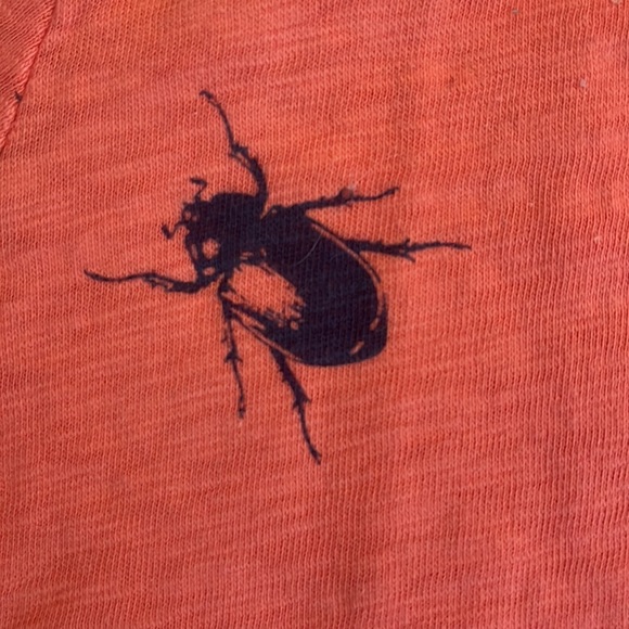 Gap Kids Short Sleeve T-shirt Bugs and Beetles Boys Large Like New - Picture 4 of 7